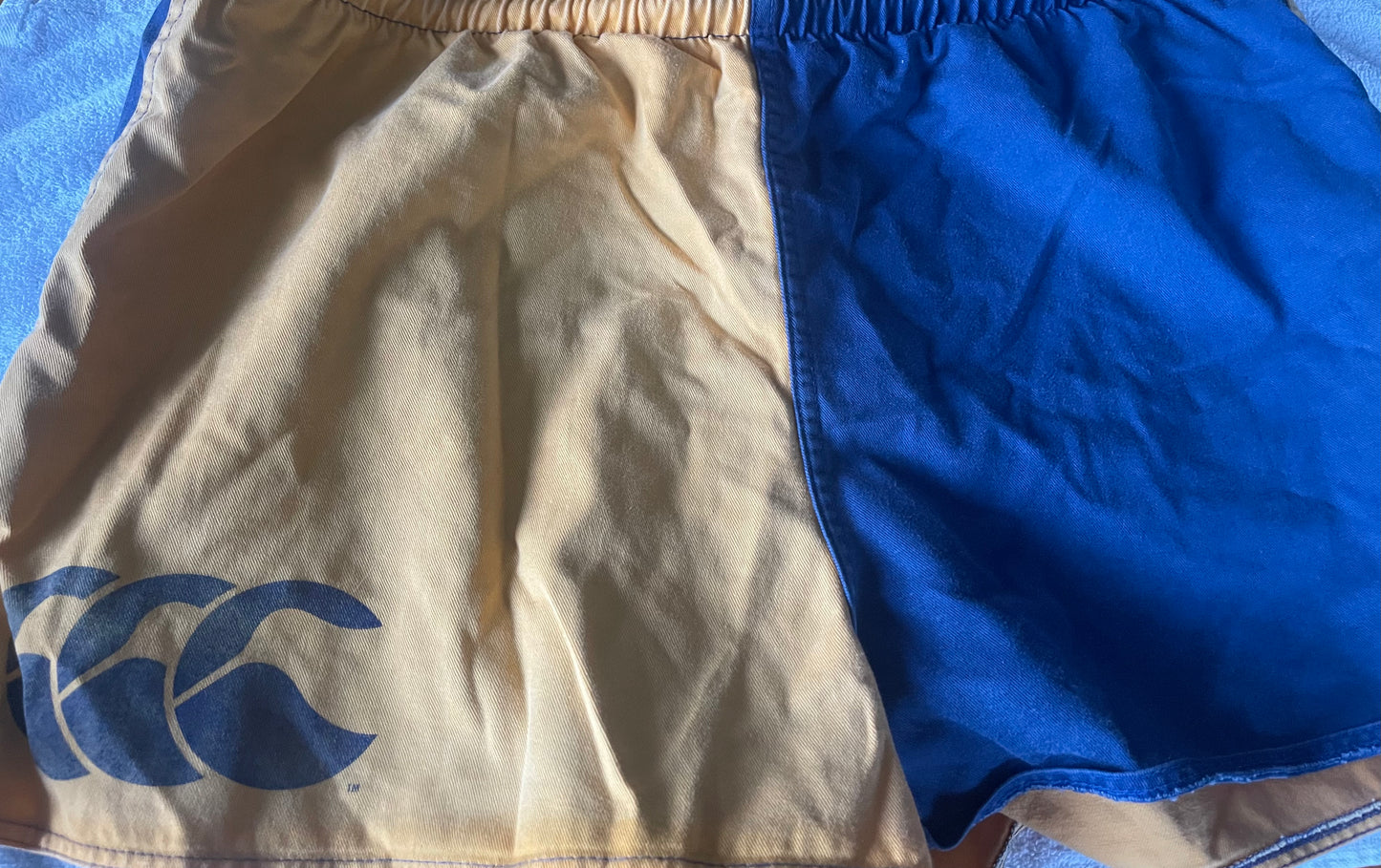 CumRag Rental 27