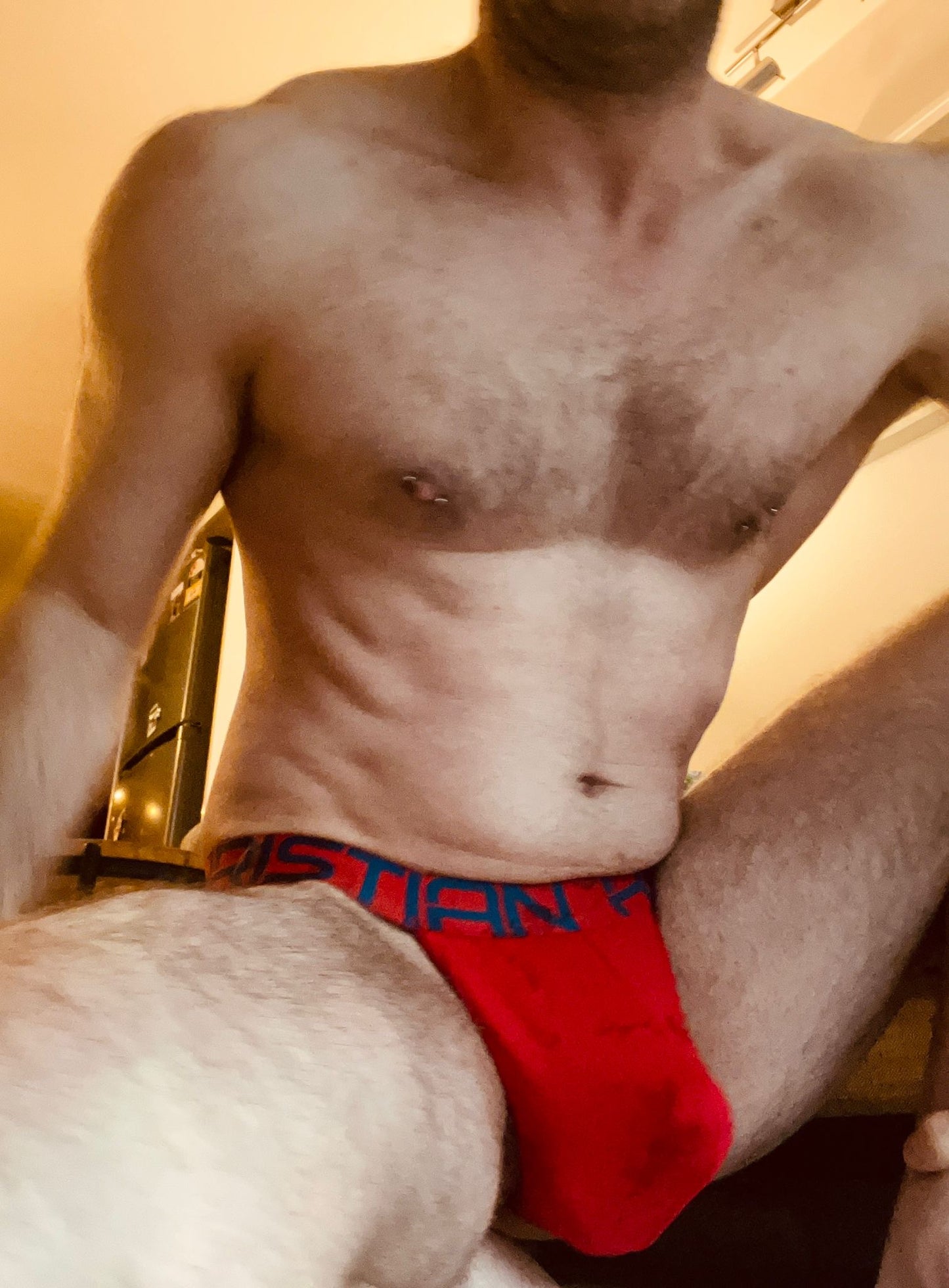 Prized Pigs Undies