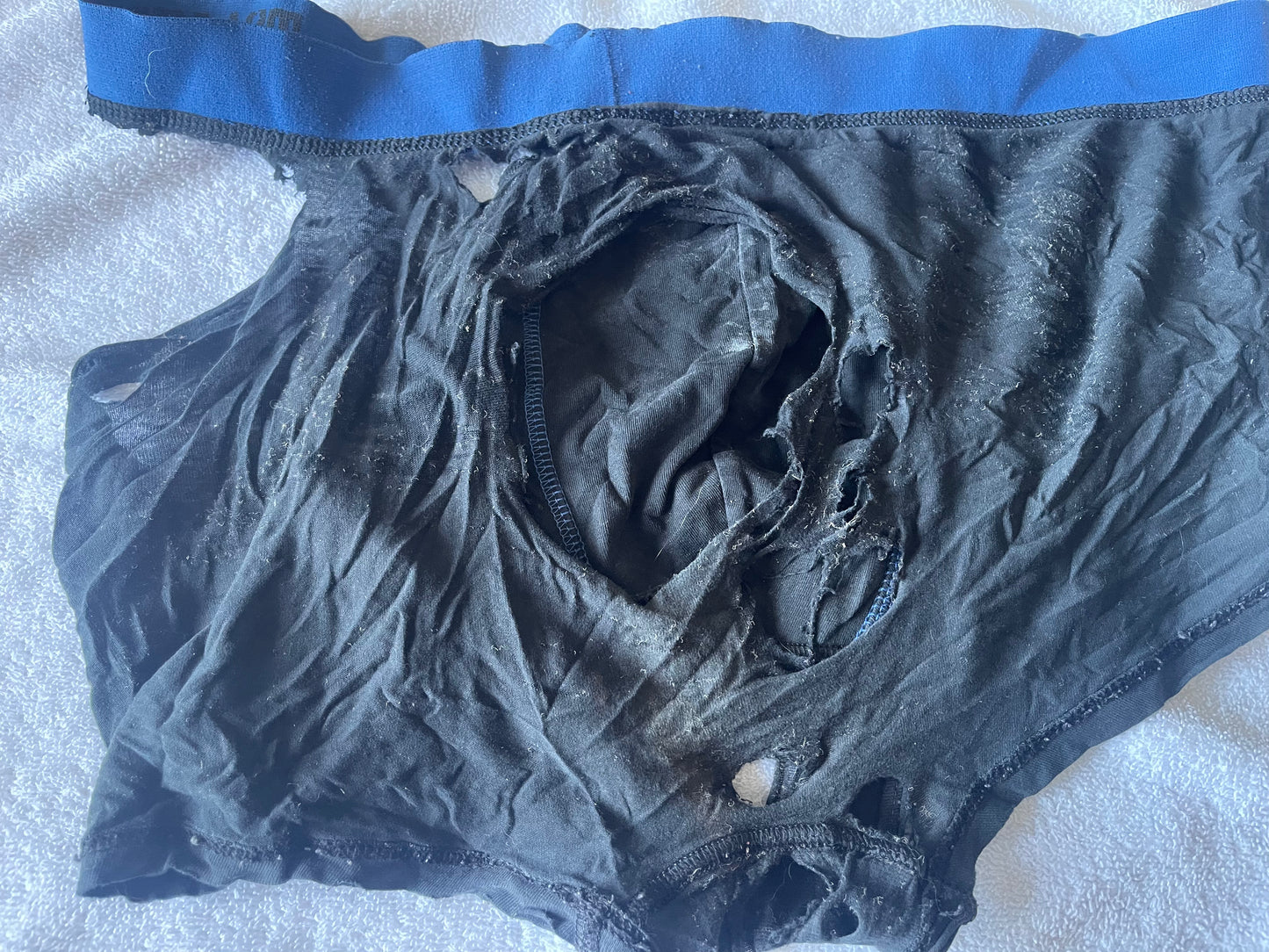 CumRag Purchase 34
